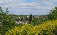 Детинец городища Васильков, а с виду просто заросший холм