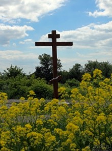 Детинец городища Васильков, а с виду просто заросший холм