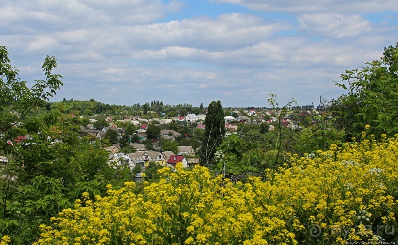 Детинец городища Васильков, а с виду просто заросший холм