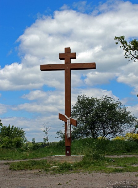 Детинец городища Васильков, а с виду просто заросший холм