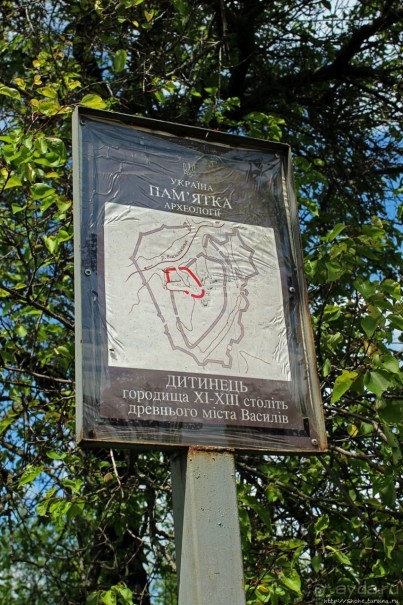 Детинец городища Васильков, а с виду просто заросший холм