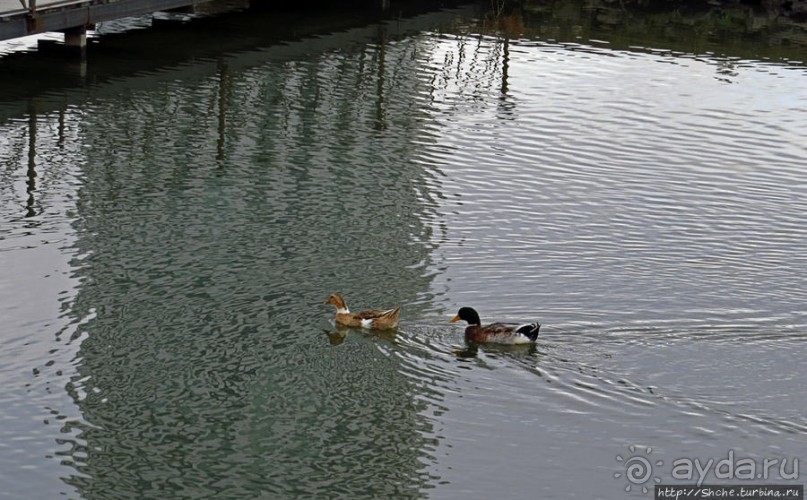 Бульвар — обнаженная набережная Батуми