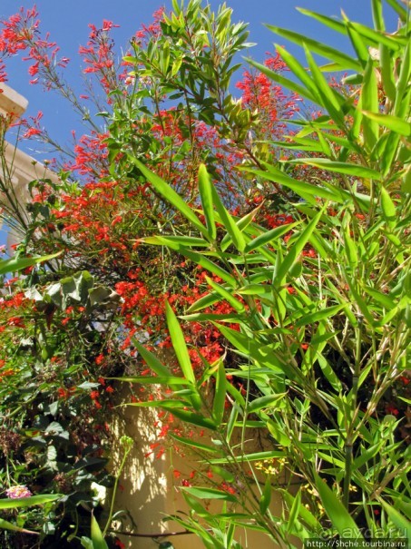 Отель " Minos Imperial" 5* - две недели тихого счастья