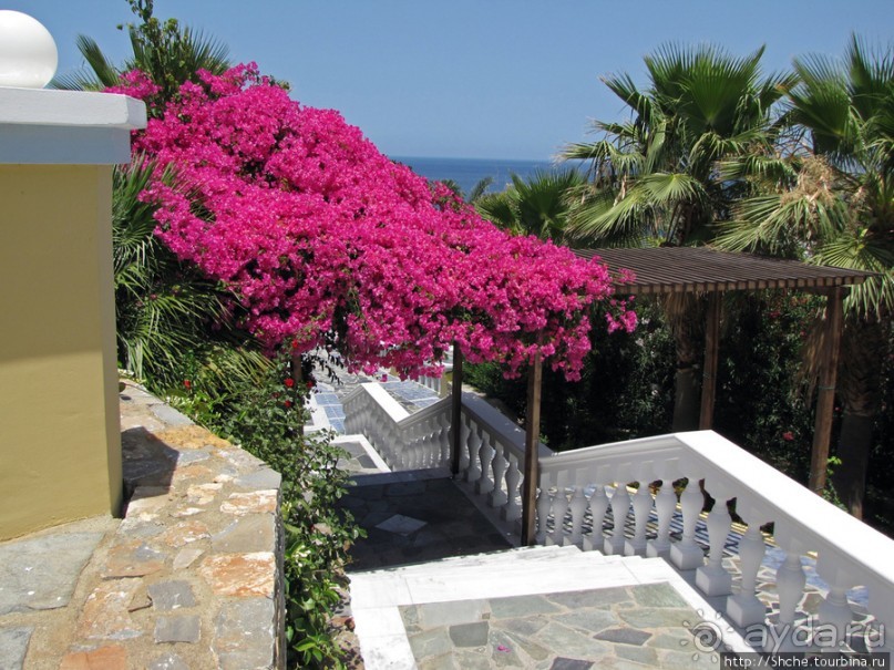 Отель " Minos Imperial" 5* - две недели тихого счастья