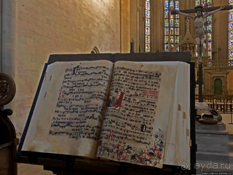 Ута, Наумбургский собор и его особенности (ЮНЕСКО № 1470)