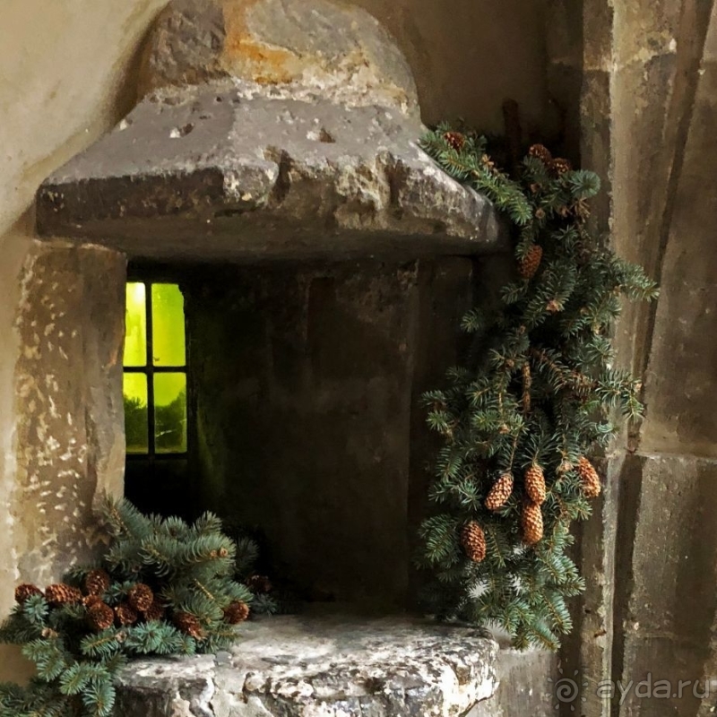 Ута, Наумбургский собор и его особенности (ЮНЕСКО № 1470)