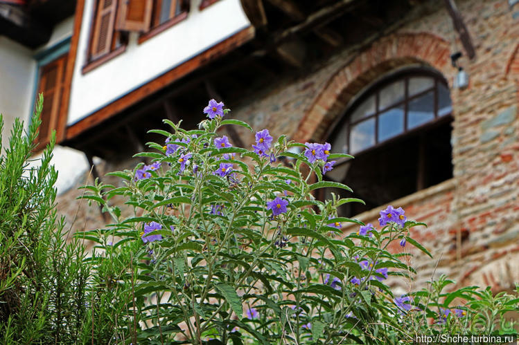 Монастырь святой Анастасии Узорешительницы (9 век)