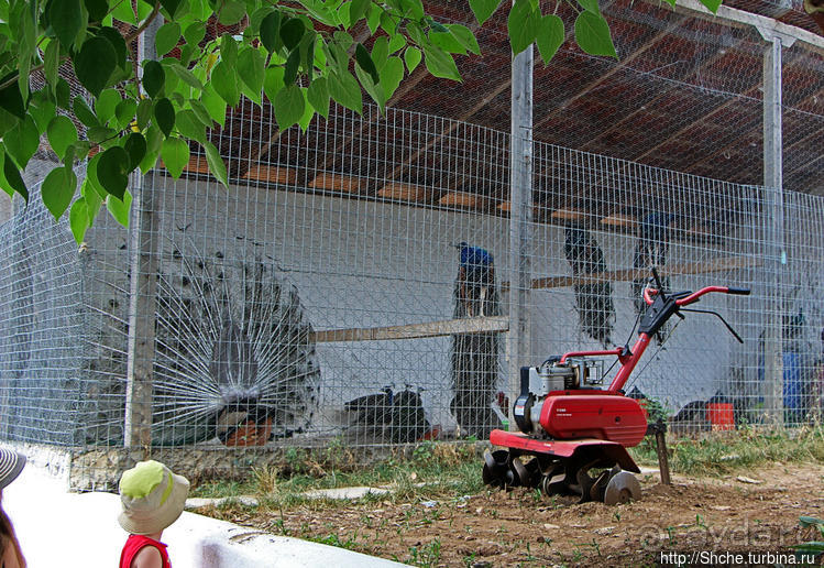 Монастырь святой Анастасии Узорешительницы (9 век)