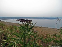 Болгарские краевиды. Берега озера Огоста близ Монтаны