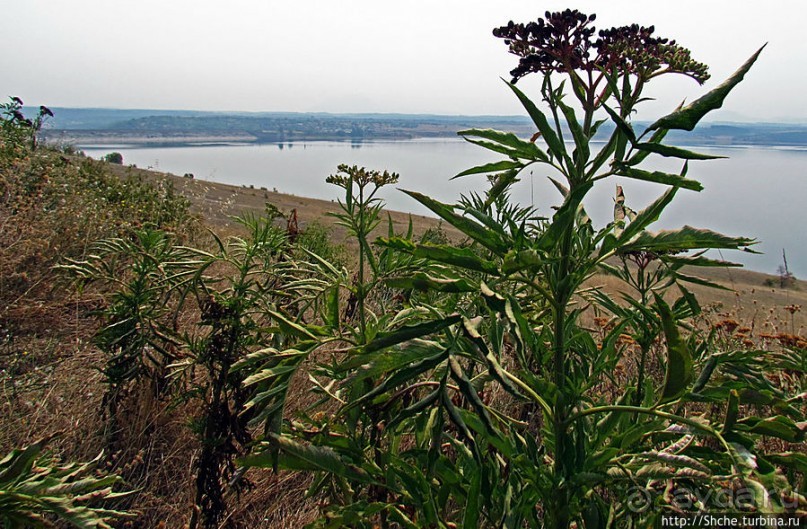 Болгарские краевиды. Берега озера Огоста близ Монтаны