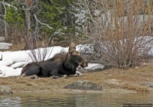 Grand Teton National Park - для активных любителей природы