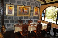 Павлины и пианино в кустах