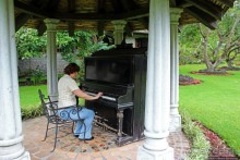 Павлины и пианино в кустах