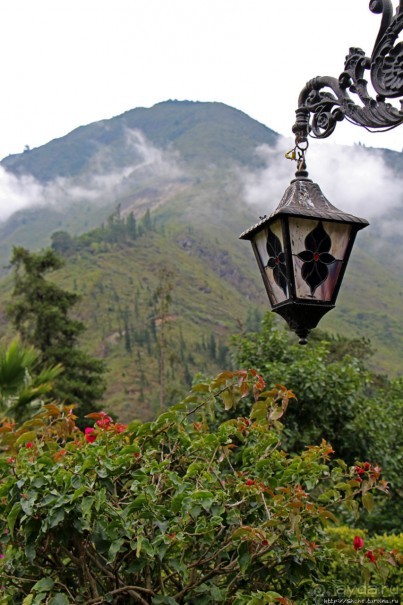 Павлины и пианино в кустах