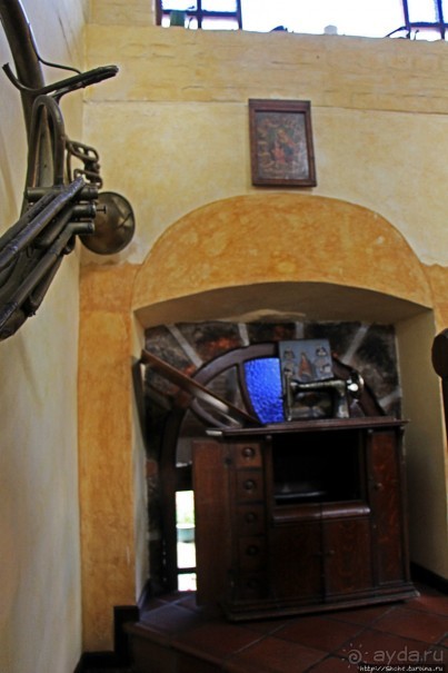 Павлины и пианино в кустах