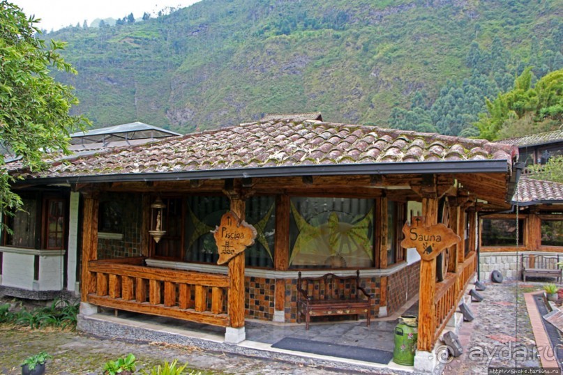 Павлины и пианино в кустах