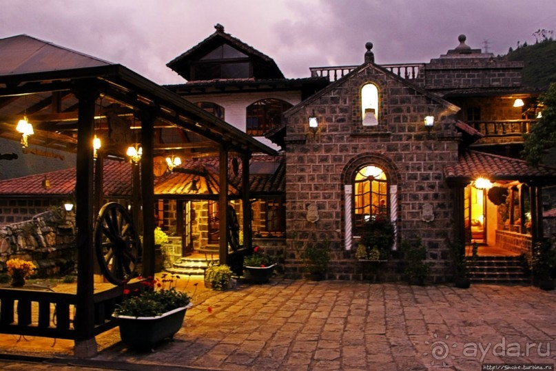 Павлины и пианино в кустах