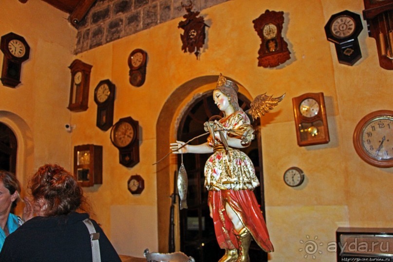 Павлины и пианино в кустах