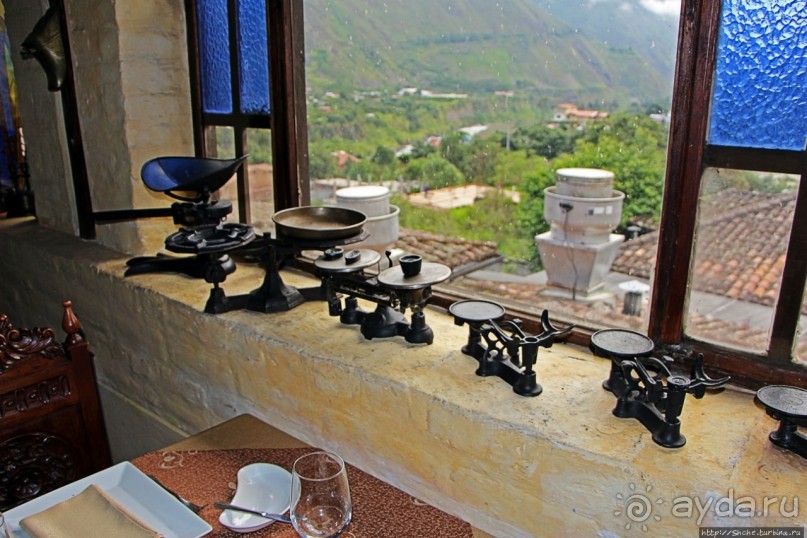 Павлины и пианино в кустах