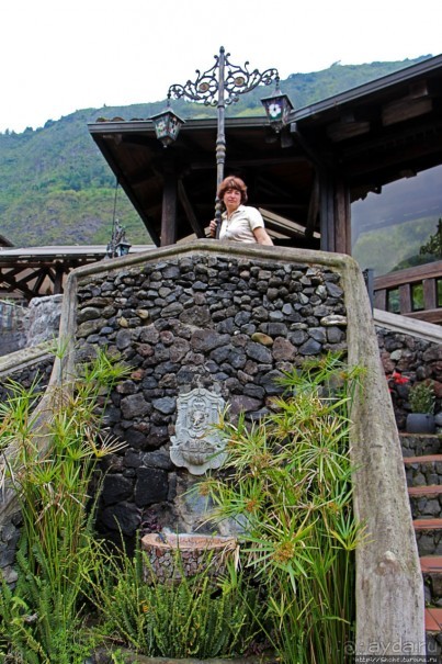 Павлины и пианино в кустах