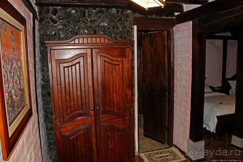 Павлины и пианино в кустах