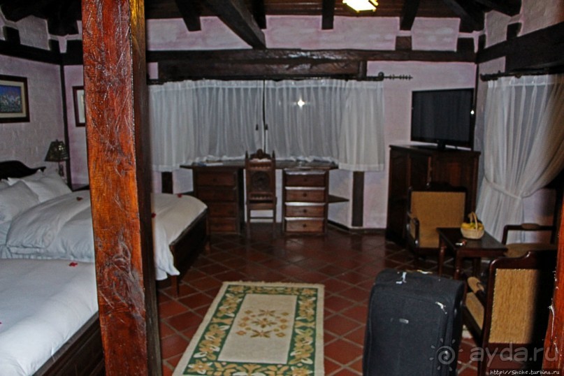 Павлины и пианино в кустах