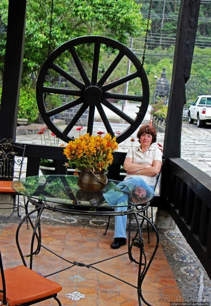 Павлины и пианино в кустах