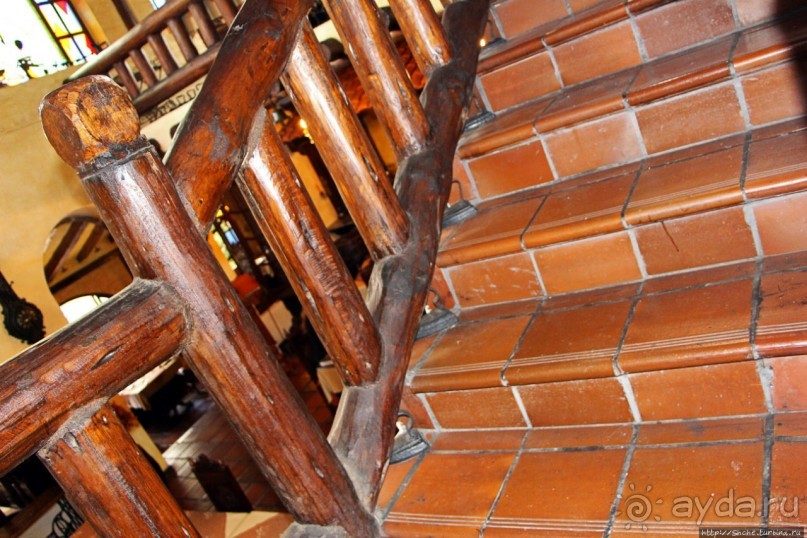 Павлины и пианино в кустах