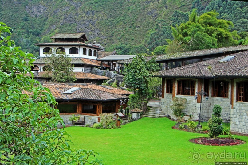 Павлины и пианино в кустах