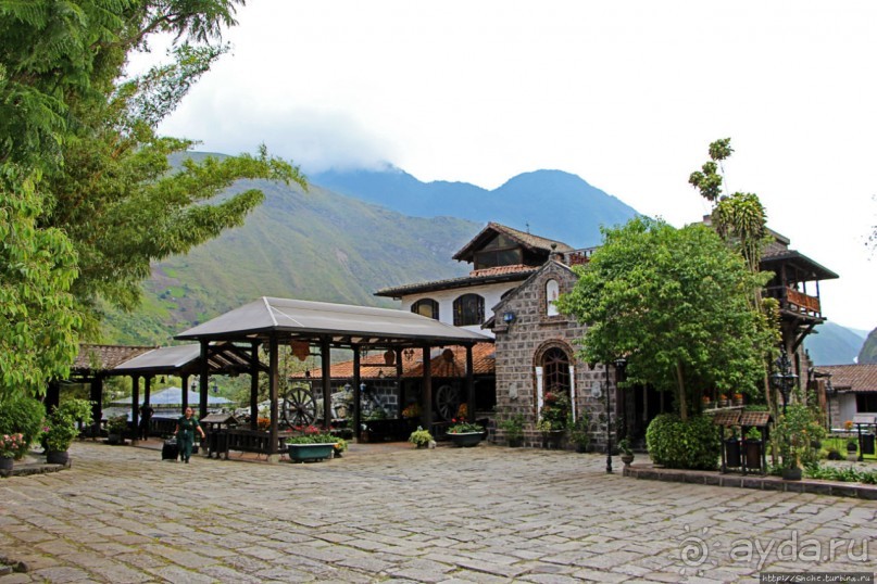 Павлины и пианино в кустах