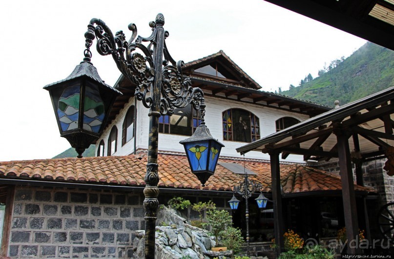 Павлины и пианино в кустах