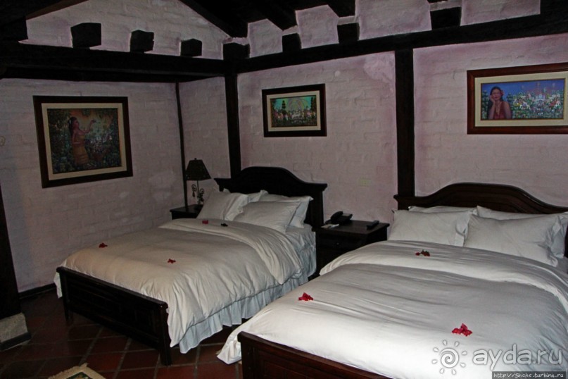 Павлины и пианино в кустах