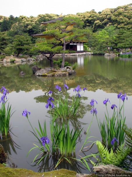 "Весна на Заморской улице" — Япония в цвету...