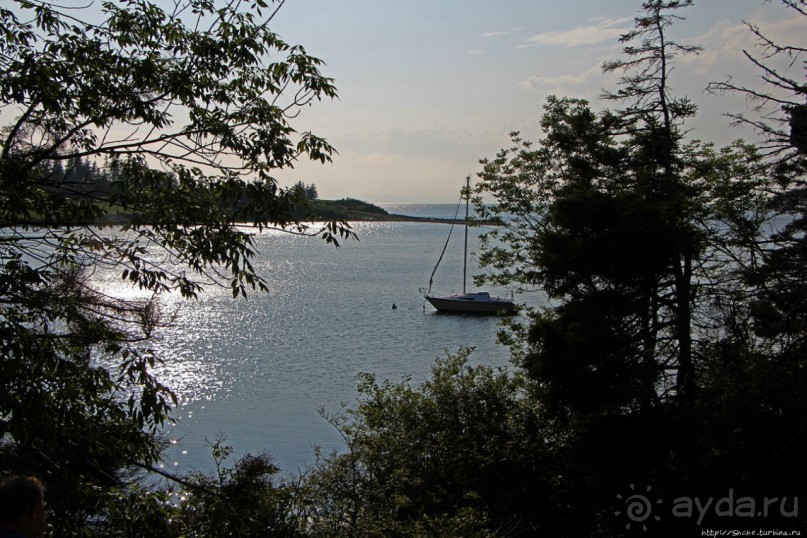 Новоскотские картинки. На восток к Сиднею