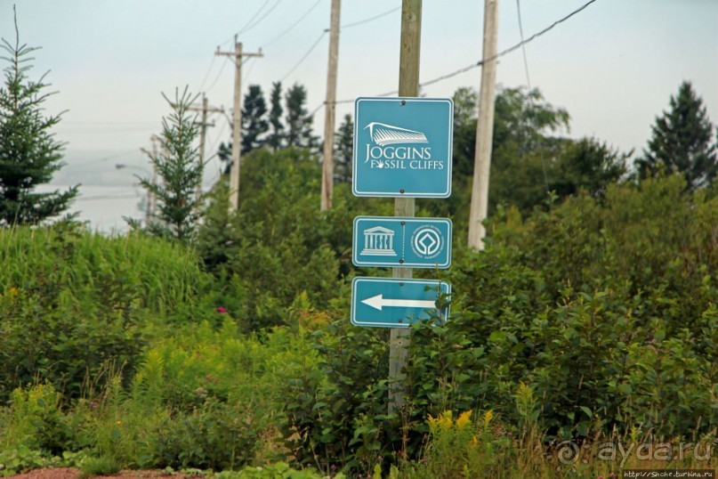 Новоскотские картинки. На восток к Сиднею