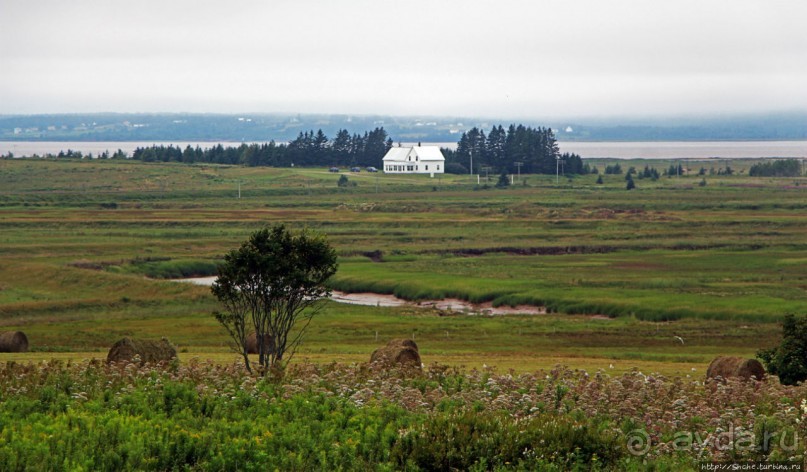 Новоскотские картинки. На восток к Сиднею