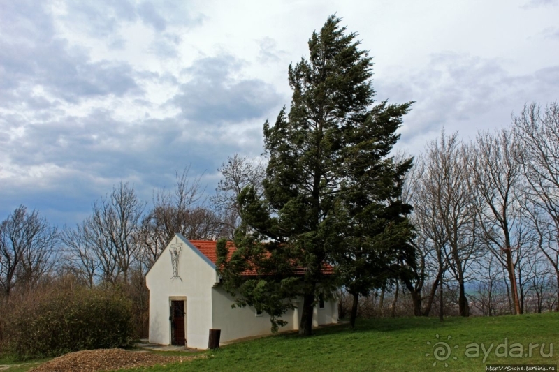 Тысячелетний бенедиктинский монастырь в Паннонхальме и ...