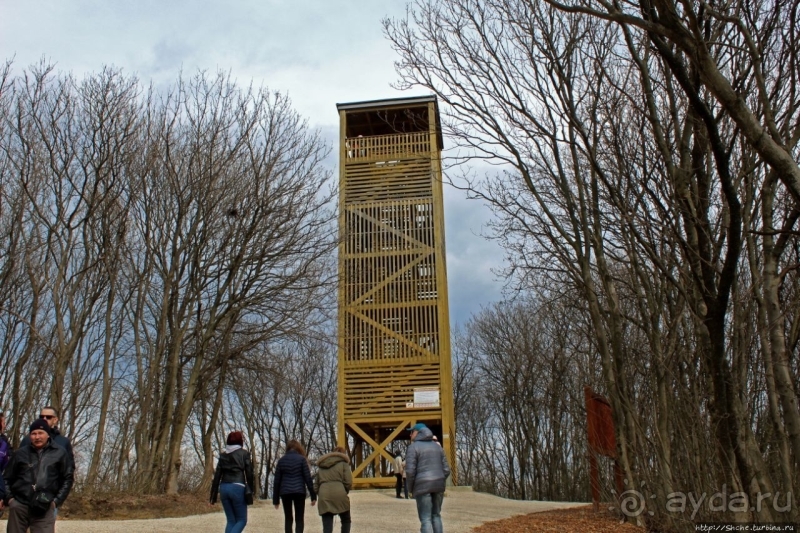 Тысячелетний бенедиктинский монастырь в Паннонхальме и ...