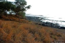 За фортом форт-то мы и не заметили. Русский форт на Гавайях