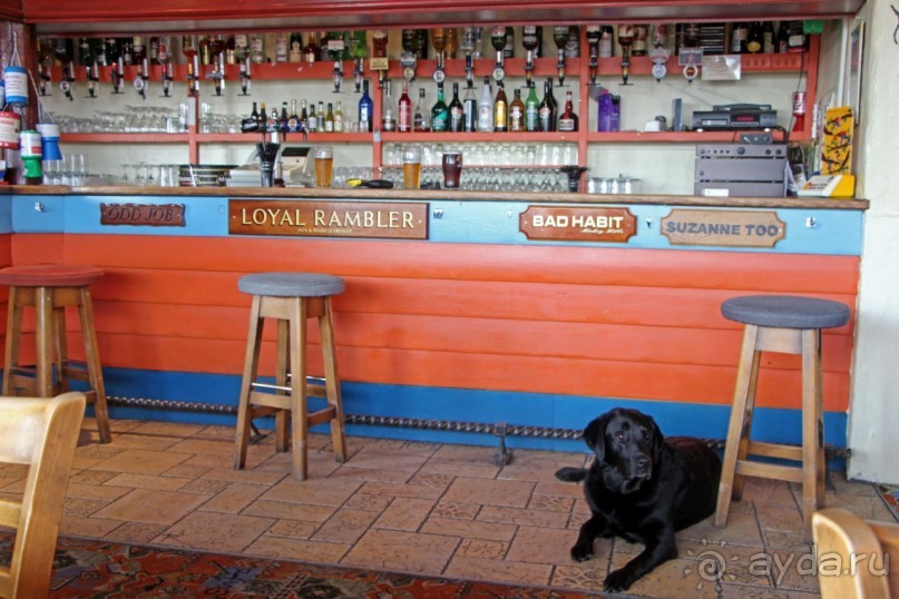 Отлив и солнце — день чудесный... Горей — джерсийский тупик