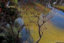 Саграда Фамилиа — незаконная стройка под охраной ЮНЕСКО