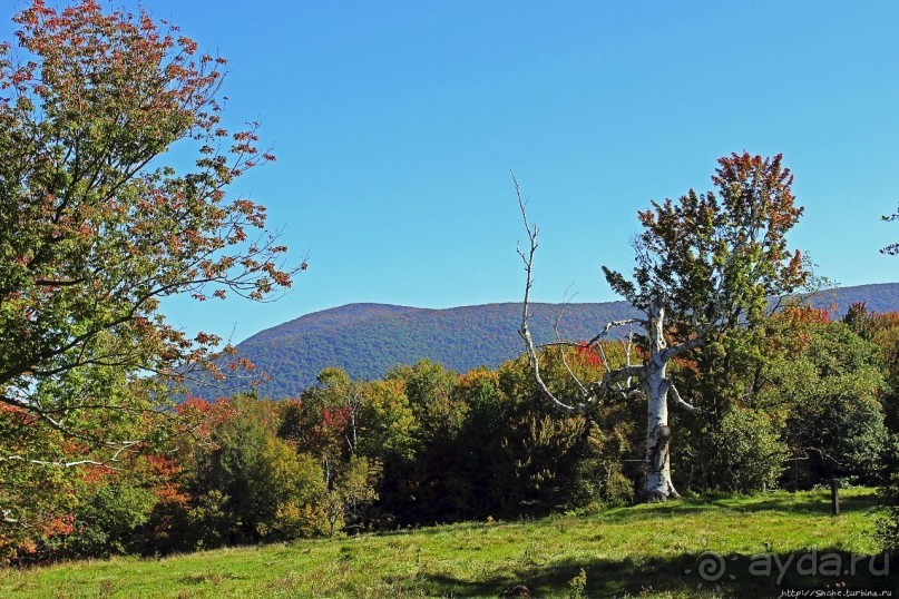 В гостях у Радуги. Уильямстаун в предвкушении осени