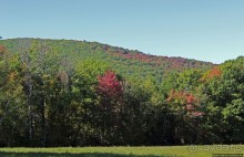 В гостях у Радуги. Уильямстаун в предвкушении осени