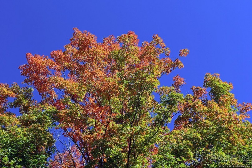 В гостях у Радуги. Уильямстаун в предвкушении осени