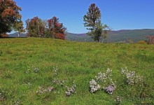 В гостях у Радуги. Уильямстаун в предвкушении осени