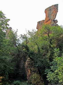 Альбом отзыва ""Ты видел что нибудь красивее?" ...так близко?"