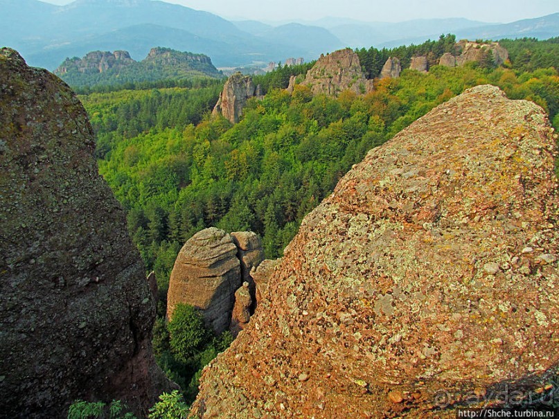 "Ты видел что нибудь красивее?" ...так близко?