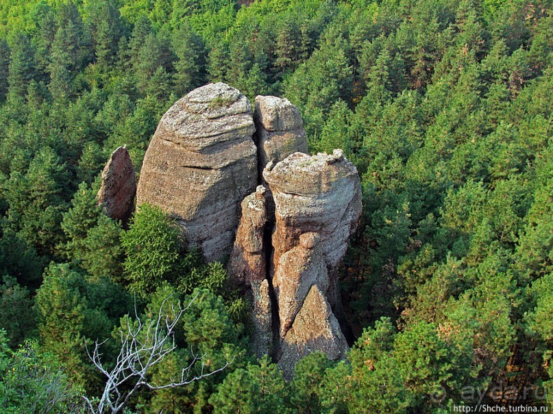 "Ты видел что нибудь красивее?" ...так близко?