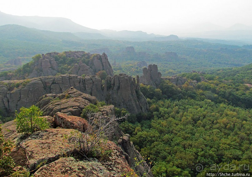 "Ты видел что нибудь красивее?" ...так близко?