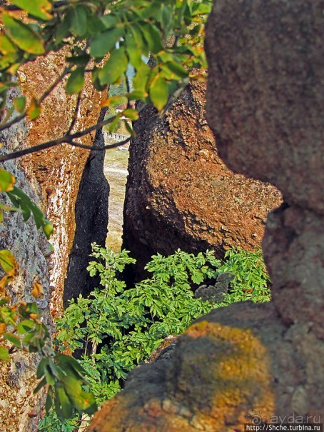 "Ты видел что нибудь красивее?" ...так близко?
